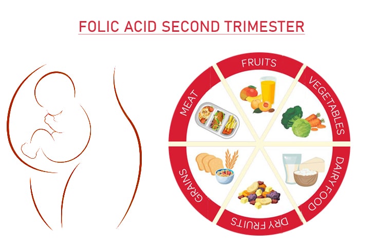 Folic Acid second trimester
