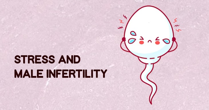 How Stress affects Fertility?