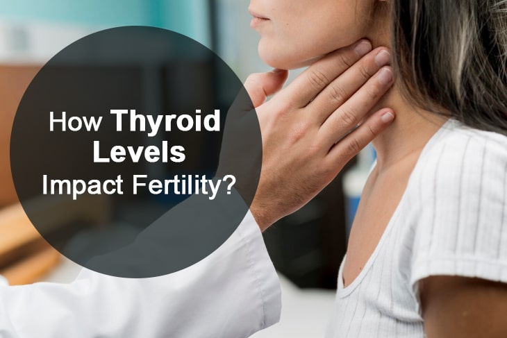 How Thyroid Levels Impact Fertility